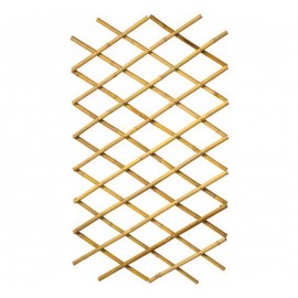 چوارچێوەی سەرکەوتنی ڕووەک بامبۆ 45X180سم