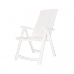 کورسی جاز رەنگی سپی