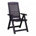 سانتیاگۆ کورسی رەنگی قاوەی بریقەدار