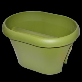 گوڵدانی گاردینیا ی 2 لا 40 ڕەنگی سەوز