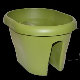 گوڵدانی گاردینیا ی 2 لا 40 ڕەنگی سەوز