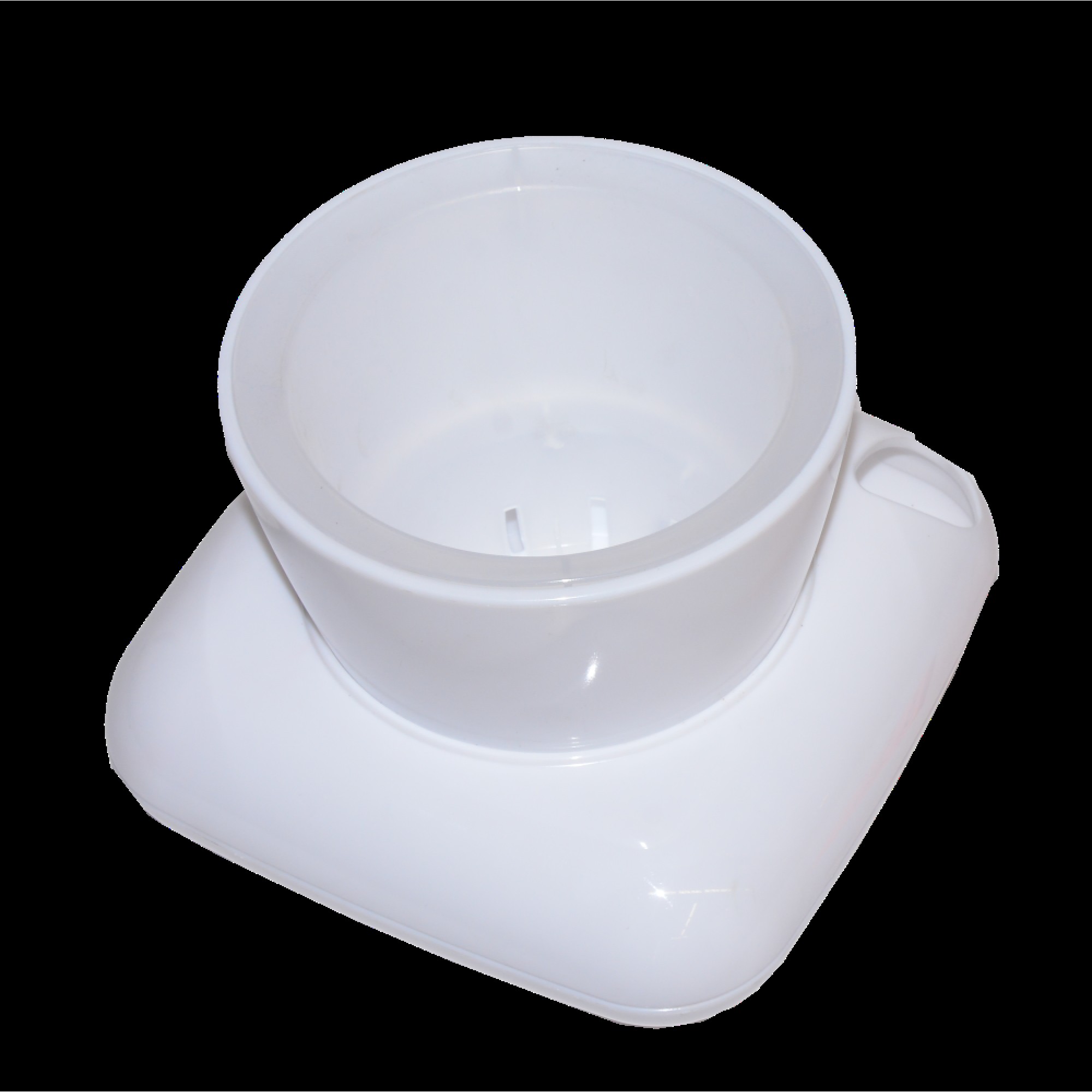 گوڵدانی گالا ڕەنگی سپی