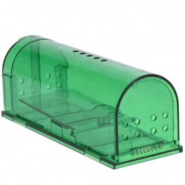 تەڵەی مشک 2 دانە