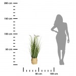 ڕووەکی چیمەن لە سەبەتەدا