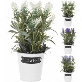 ڕووەکی دەستکردی لاڤاندەر لەناو گۆزەیێکی زینکدا