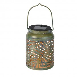 گڵۆپی لیدی خۆر کانزایی تیرەی 2 جور