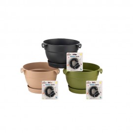 گوڵدانی مانۆلیا ماڕەنگی کرێمیێ 24 ڕەنگی کرێمی