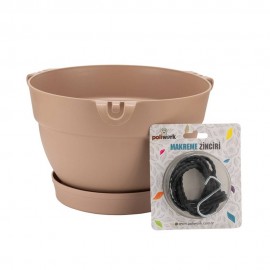 گوڵدانی مانۆلیا ماڕەنگی کرێمیێ 24 ڕەنگی کرێمی