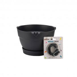 گوڵدانی مانۆلیا ماکرێمیێ 24 ڕەنگی ئەنتراسایت