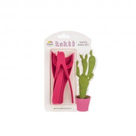 کاکتی - سێتی گرنگیدان بە کاکتوس