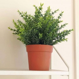 ڕووەکی دەستکردی پلاستیکی لەناو گۆزەدا