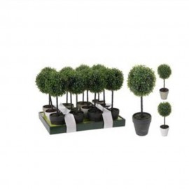 بۆکسی دار لە گۆزەیەکی سپیدا 38 سم