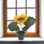 گوڵی هونەری گوڵەبەڕۆژە لەناو دەفرێکی 22 سم.