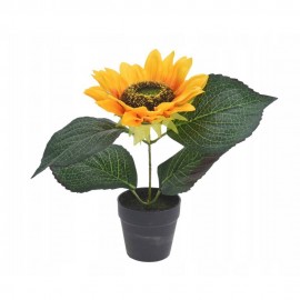 گوڵی هونەری گوڵەبەڕۆژە لەناو دەفرێکی 22 سم.