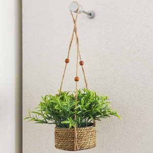 ڕووەکی هەڵواسراو لە گۆزەی جووت