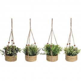 ڕووەکی هەڵواسراو لە گۆزەی جووت