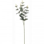 لقێکی هونەری یوکالیپتوس 65 سم