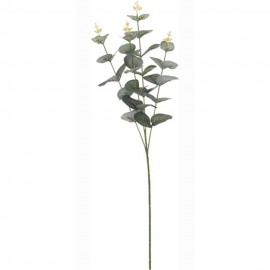 لقێکی هونەری یوکالیپتوس 65 سم