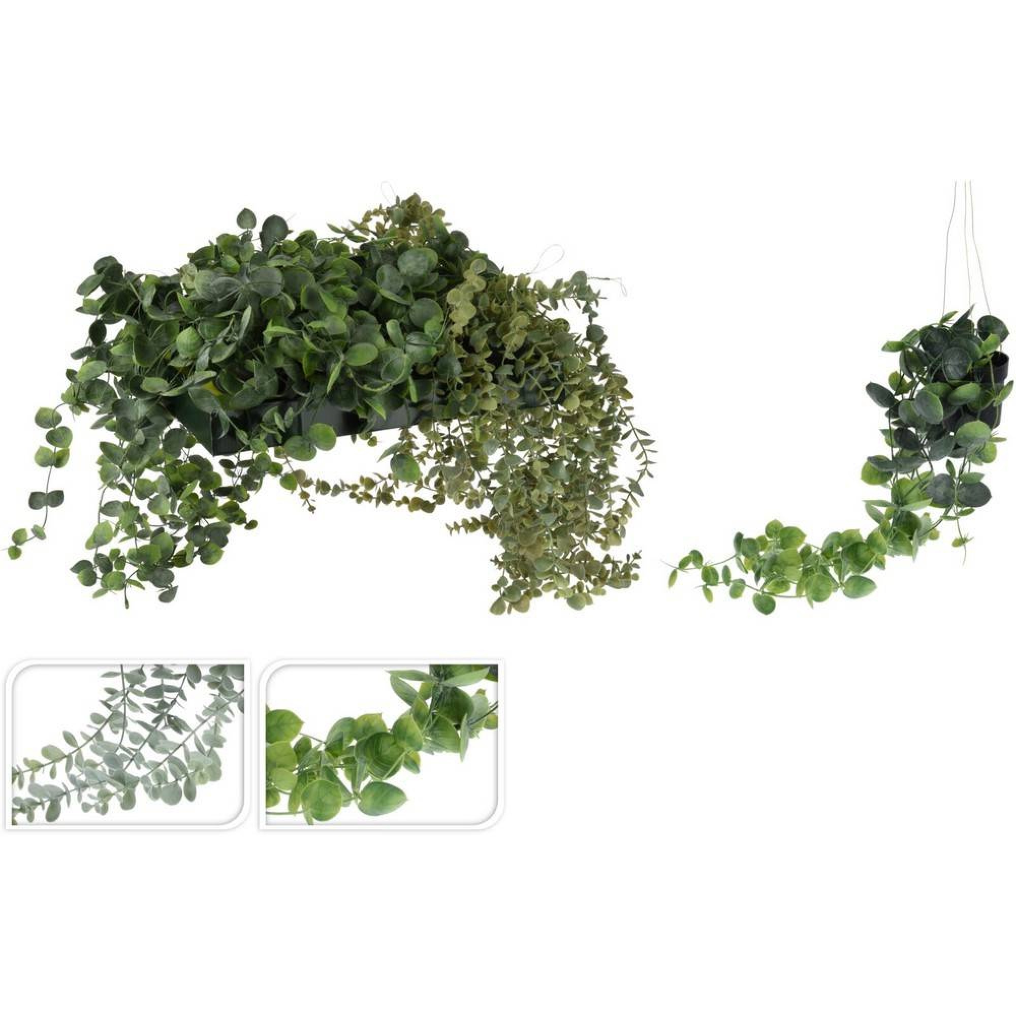 گۆزەی هەڵواسراوی ڕووەک لە 56 سم 2 جۆر