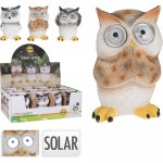 ڕووناکی بە تیشکی خۆر شێوە کوندەپەپۆ 3 دیزاینی جۆراوجۆر - 795201510