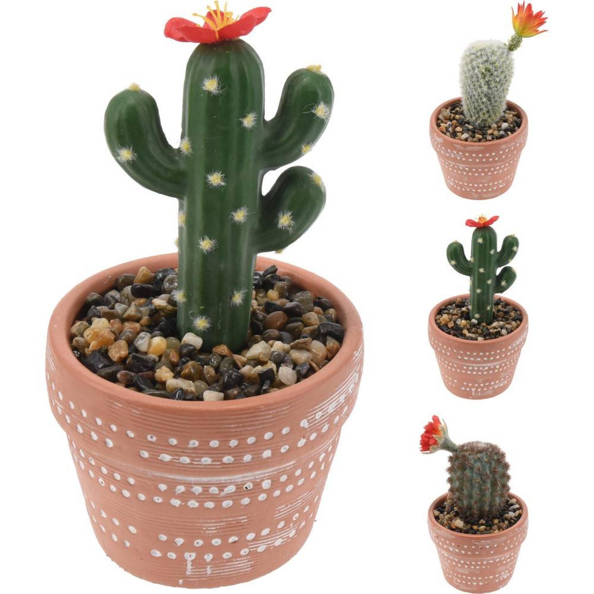 گوڵدانی گڵ لەگەڵ کاکتوس 10*20 سم