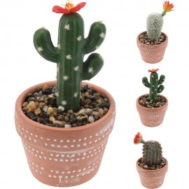 گوڵدانی گڵ لەگەڵ کاکتوس 10*20 سم