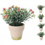 گوڵ لە گۆزەدا 15 سم بە 4 ڕەنگی