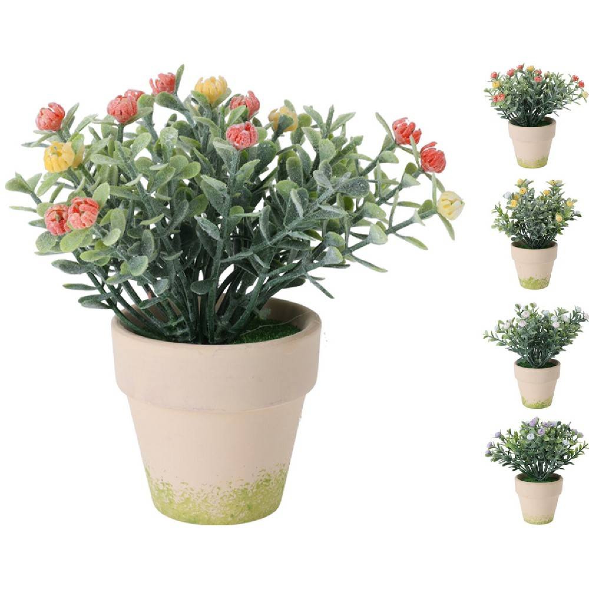 گوڵ لە گۆزەدا 15 سم بە 4 ڕەنگی