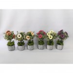 گوڵی دەستکرد 9*9*30 سم