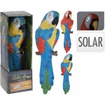 تووتی بە چاوی ڕووناکی بە تیشکی خۆر 2 جۆراوجۆر - 795201280