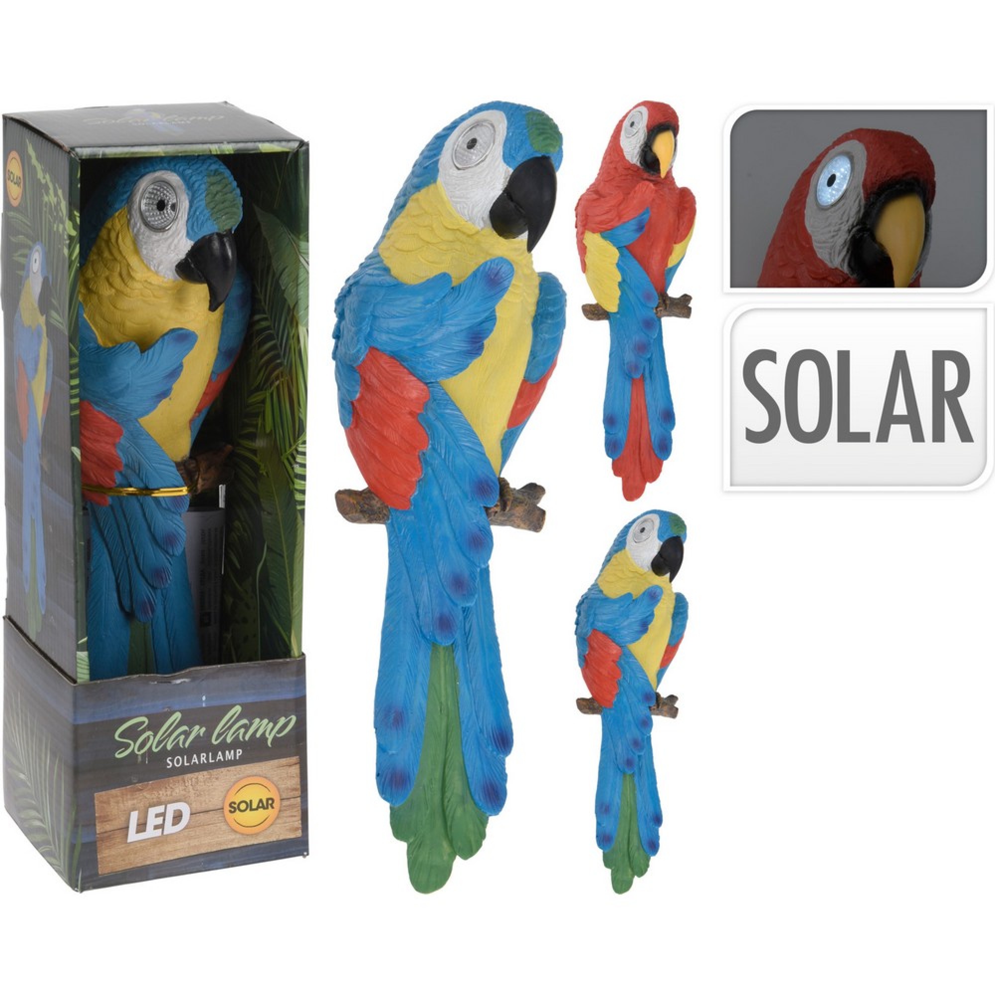 تووتی بە چاوی ڕووناکی بە تیشکی خۆر 2 جۆراوجۆر - 795201280