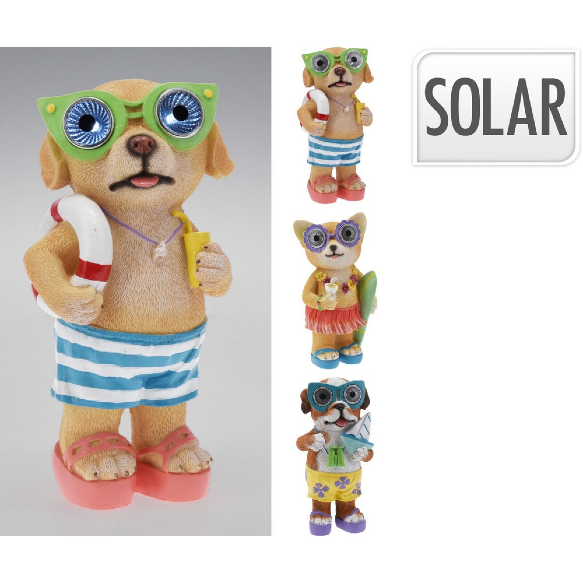 ڕووناکی بە تیشکی خۆر شێوە سەگ و پشیلە 3 جۆراوجۆر - 795420460