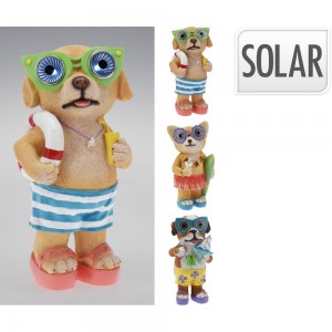 ڕووناکی بە تیشکی خۆر شێوە سەگ و پشیلە 3 جۆراوجۆر - 795420460