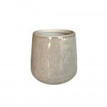 هەڵگری فڵچەی ددان جۆری بیۆرن - D-21142