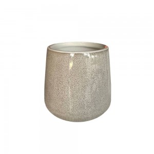 هەڵگری فڵچەی ددان جۆری بیۆرن - D-21142