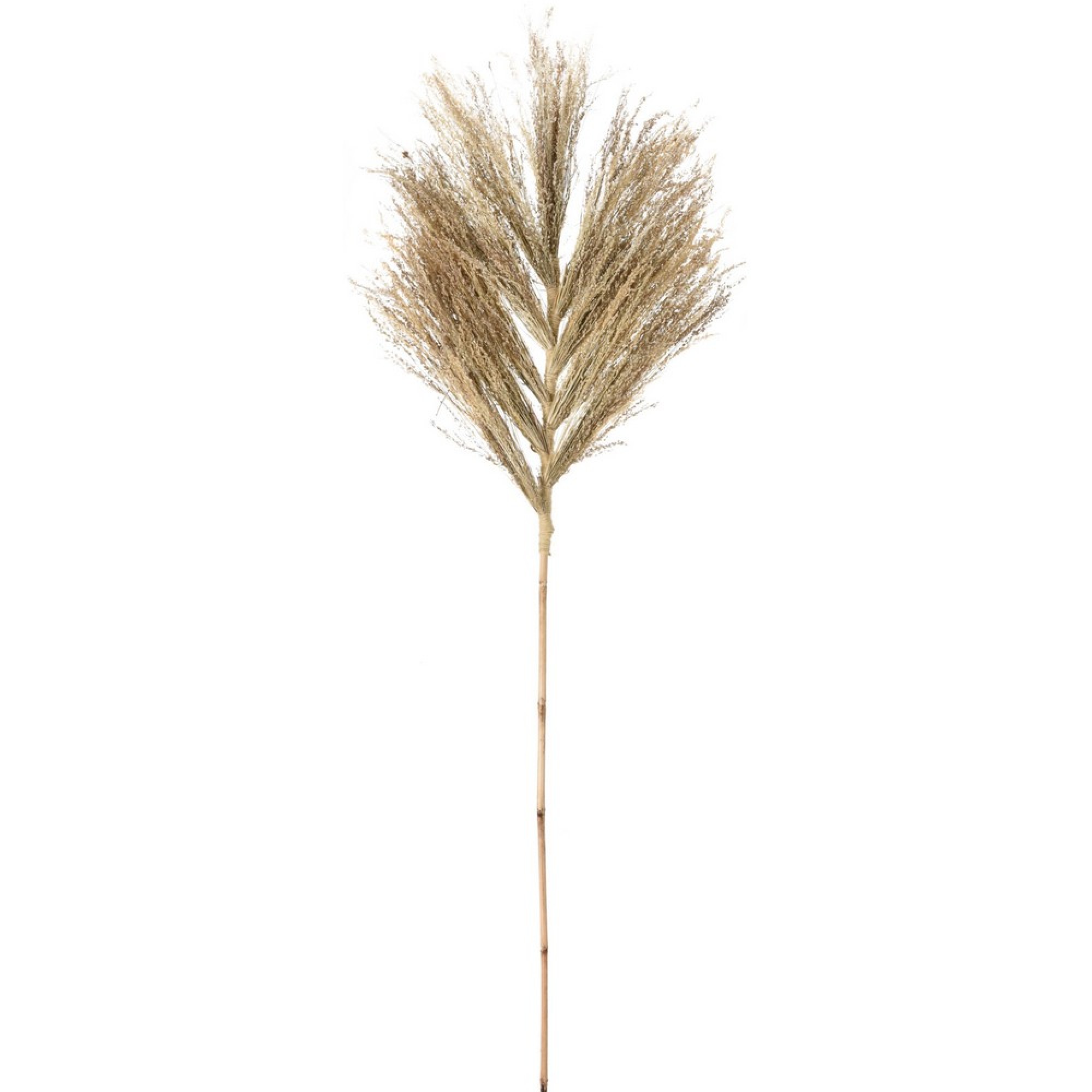 گوڵی دیکۆری 150 سم - D22310030