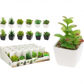 گۆزەی ڕووەک PP بە ١٢ جۆراوجۆر - HZ1240200