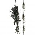 رووەکی هەڵواسراو 4 دیزاینی جۆراوجۆر - 317005060