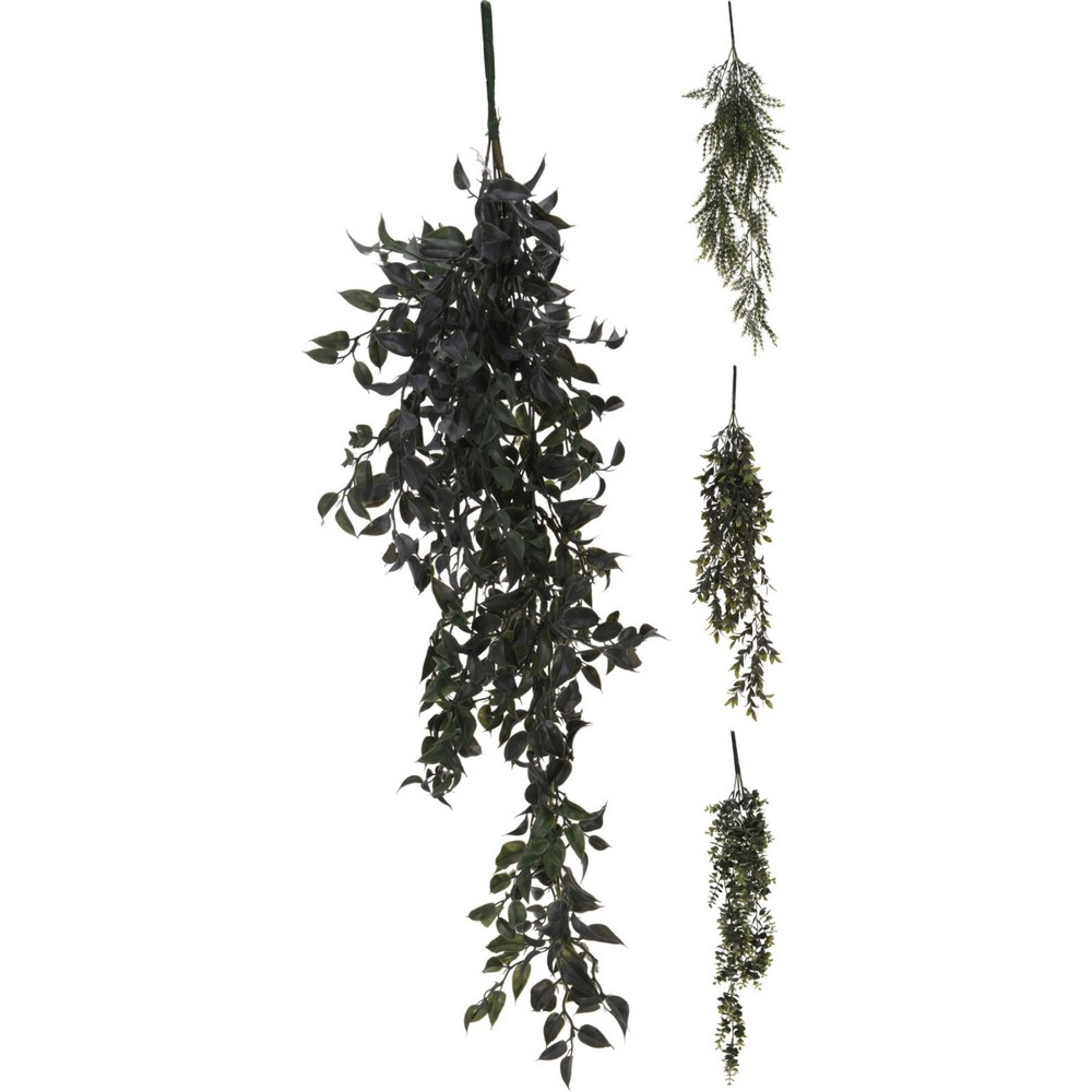 رووەکی هەڵواسراو 4 دیزاینی جۆراوجۆر - 317005060