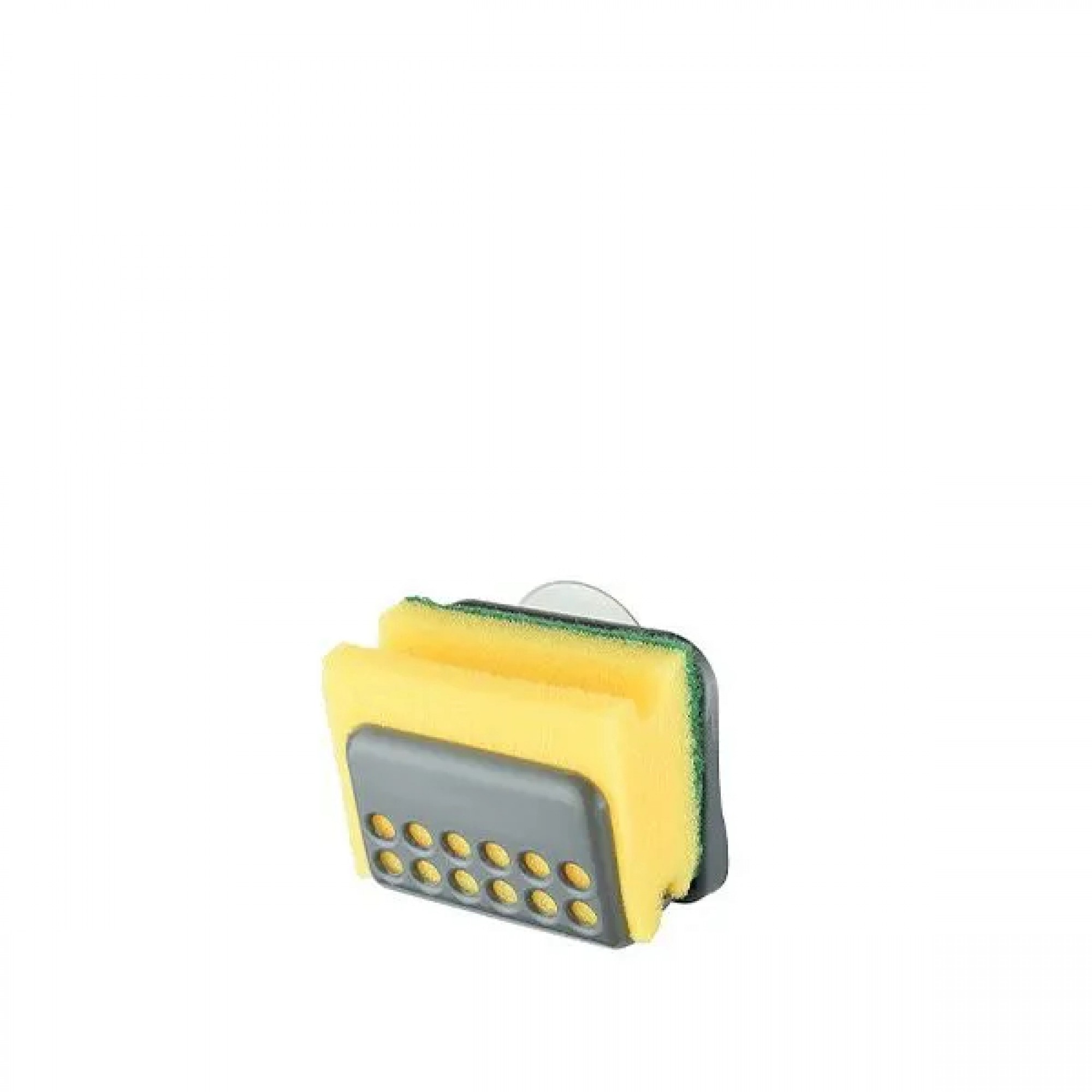 جێگای ئیسفەنج - TP431