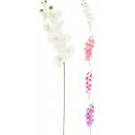 گوڵی ئۆرکیدی دەستکرد - PL4100240