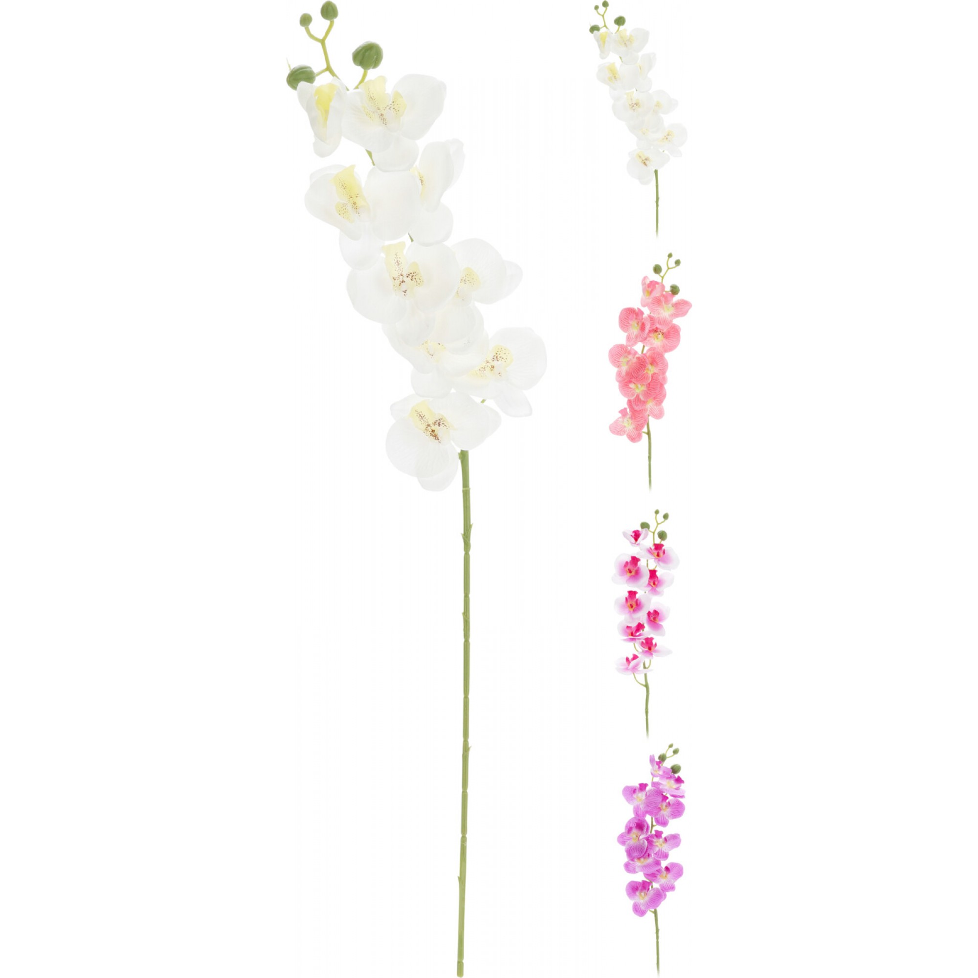 گوڵی ئۆرکیدی دەستکرد - PL4100240