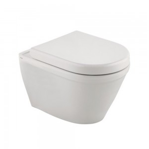 تەوالێتی بە دیوار هەڵواسراو