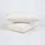 پێنێلۆپ  بالیفی  پەڕەکانی قاز 35*50 سم