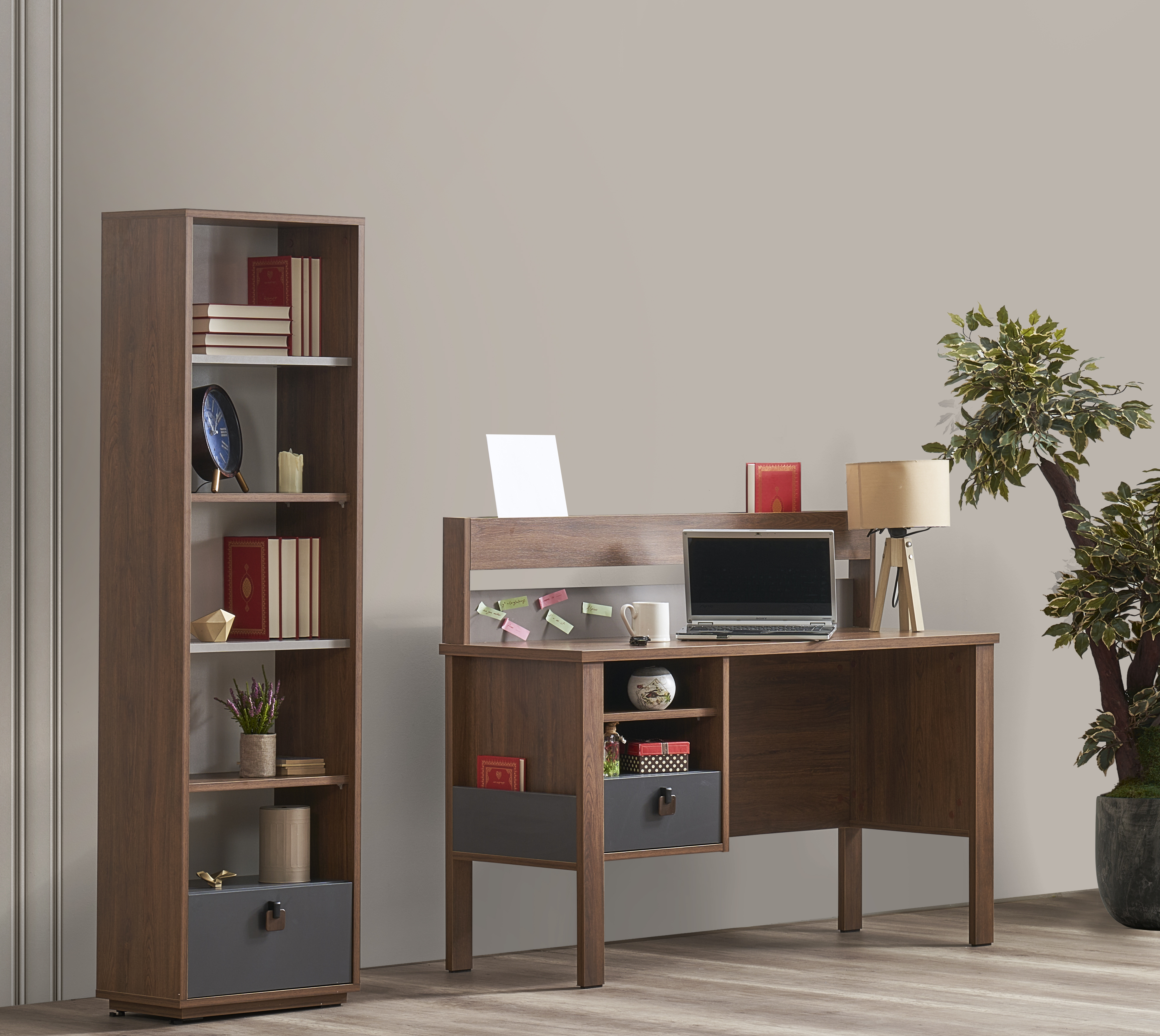 Alpino Debre Study Desk