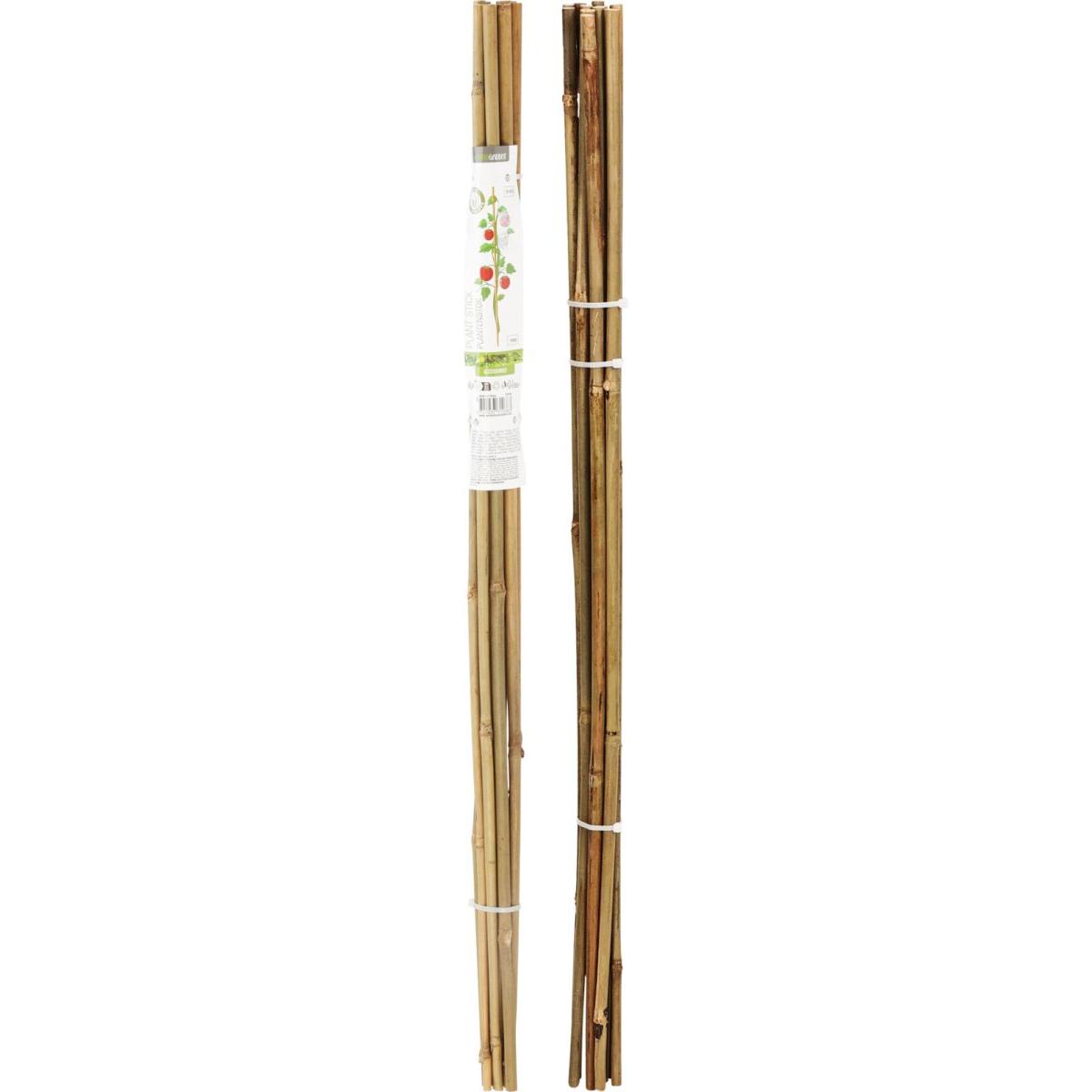 Koopman Garden Bamboo Stakes / Support Sticks 10-Piece Set - 836610160